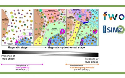 A new study on Nb-Ta-oxide minerals in P-rich rare-element pegmatites (Buranga)